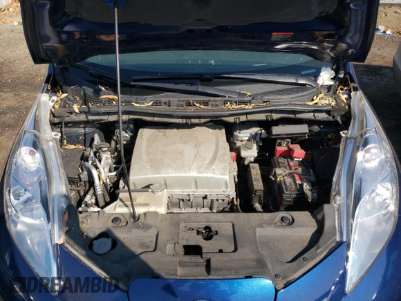 2017 Nissan LEAF SL with VIN 1N4BZ0CP0HC305554, listed as a Copart auction lot 66279883 with 61,279 mi miles and . Bid and sale history available at DreamBid. Image 11.