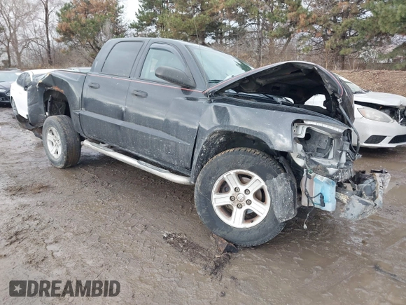 2011 Ram Dakota Bighorn/Lonestar with VIN 1D7RW3GK3BS579433, listed as a IAAI auction lot 41455345 with 95,356 mi miles. Bid and sale history available at carsss.com. Image 1.
