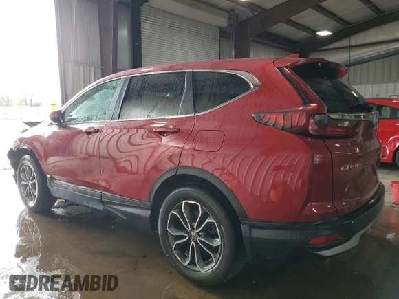 2020 Honda CR-V EX-L with VIN 7FART6H88LE015691, listed as a Copart auction lot 53718345 with 37,991 mi miles and Salvage title. Bid and sale history available at DreamBid. Image 2.