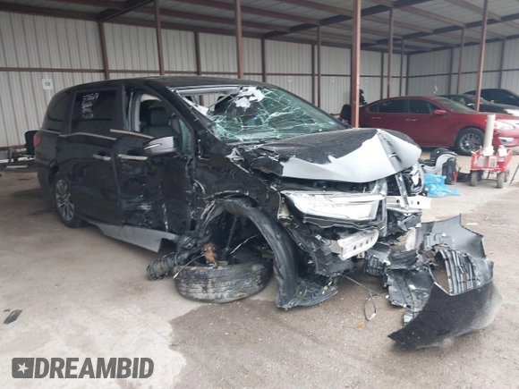 2024 Honda Odyssey EX-L with VIN 5FNRL6H65RB018602, listed as a IAAI auction lot 40823286 with 11,252 mi miles and . Bid and sale history available at DreamBid. Image 1.