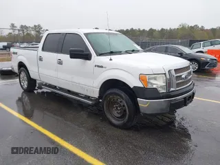 2013 Ford F-150 XL with VIN 1FTFW1EFXDFA99876, listed as a IAAI auction lot 41859370 with 248,683 mi miles. Bid and sale history available at carsss.com. Image 1.