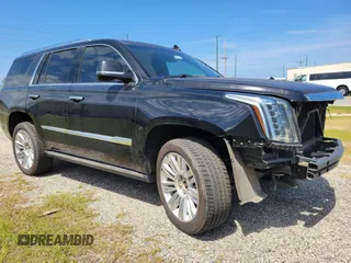 2019 Cadillac Escalade Platinum with VIN 1GYS4DKJ9KR138333, listed as a IAAI auction lot 42176170 with 104,787 mi miles and . Bid and sale history available at DreamBid. Image 1.
