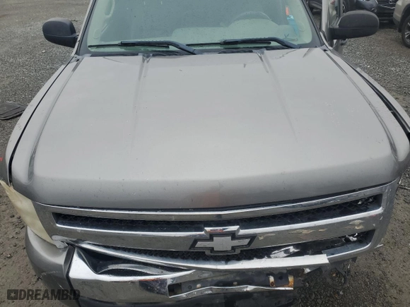 2009 Chevrolet Silverado 1500 Work Truck with VIN 1GCEK19C69Z214938, listed as a Copart auction lot 84457454 with 156,114 mi miles and Salvage Title. Bid and sale history available at carsss.com. Image 12.
