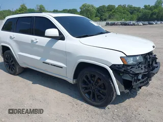 2020 Jeep Grand Cherokee Altitude with VIN 1C4RJFAG9LC196252, listed as a IAAI auction lot 42413963 with 100,856 mi miles and . Bid and sale history available at DreamBid. Image 1.