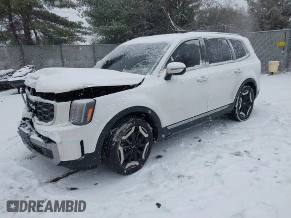 2023 Kia Telluride S with VIN 5XYP6DGC7PG363114, listed as a IAAI auction lot 41260043 with 49,499 mi miles and . Bid and sale history available at DreamBid. Image 17.
