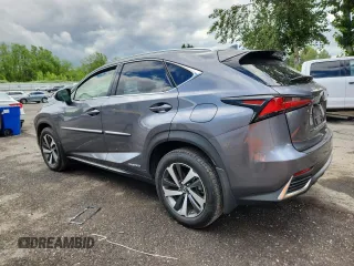 2020 Lexus NX 300h with VIN JTJGJRDZ9L2143138, listed as a Copart auction lot 59030775 with 31,817 mi miles and Salvage title. Bid and sale history available at DreamBid. Image 2.