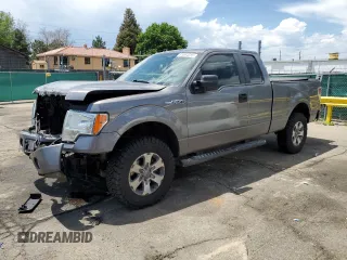2013 Ford F-150 XL z VIN 1FTFX1EF4DFC99603, wystawiony jako Copart lot #61094315 z przebiegiem 148 899 mil mil oraz Szkoda całkowita • Salvage title. Historia ofert i sprzedaży dostępna na DreamBid. Obrazek 1.