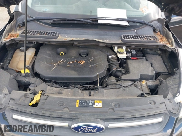 2013 Ford Escape SE with VIN 1FMCU0G9XDUD47433, listed as a IAAI auction lot 42233412 with 180,098 mi miles and . Bid and sale history available at DreamBid. Image 10.