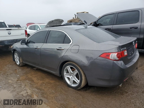 2010 Acura TSX with VIN JH4CU2F63AC027541, listed as a Copart auction lot 48327515 with 227,734 mi miles and Salvage Title. Bid and sale history available at carsss.com. Image 2.