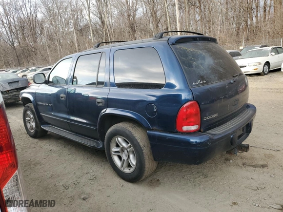 2000 Dodge Durango with VIN 1B4HS28Z1YF227831, listed as a Copart auction lot 46294585 with 207,843 mi miles and Salvage Title. Bid and sale history available at carsss.com. Image 2.