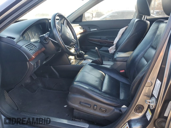 2010 Honda Accord Crosstour EX-L with VIN 5J6TF2H57AL014723, listed as a Copart auction lot 79476554 with 0 mi miles and Salvage Title. Bid and sale history available at carsss.com. Image 7.