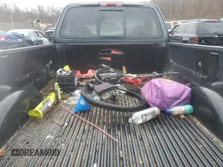 2000 Ford F-150 XL with VIN 1FTZF1829YNB04020, listed as a Copart auction lot 80888564 with Not provided miles and Salvage title. Bid and sale history available at DreamBid. Image 10.