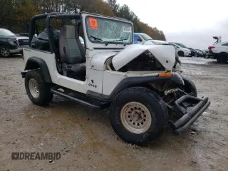 1995 Jeep Wrangler S with VIN 1J4FY19P7SP205053, listed as a Copart auction lot 84003534 with 215,769 mi miles and Salvage Title. Bid and sale history available at carsss.com. Image 4.