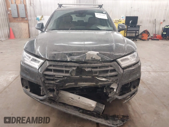 2019 Audi Q5 Premium Plus z VIN WA1BNAFY4K2091062, wystawiony jako IAAI lot #41702189 z przebiegiem 80 905 mil mil oraz . Historia ofert i sprzedaży dostępna na DreamBid. Obrazek 13.