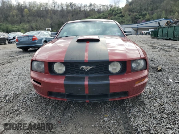 2009 Ford Mustang GT with VIN 1ZVHT82H595119834, listed as a Copart auction lot 52068725 with 96,697 mi miles and Salvage title. Bid and sale history available at DreamBid. Image 5.