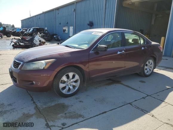 2009 Honda Accord Sdn EX-L with VIN 1HGCP36889A021226, listed as a Copart auction lot 48636195 with 265,079 mi miles and Clean Title. Bid and sale history available at carsss.com. Image 1.