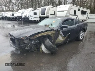 2014 Ford Mustang V6 with VIN 1ZVBP8AM8E5202385, listed as a Copart auction lot 52687175 with Not provided miles and Salvage title. Bid and sale history available at DreamBid. Image 1.