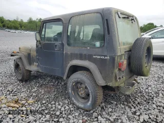 1994 Jeep Wrangler with VIN 1J4FY29S9RP422835, listed as a Copart auction lot 61365235 with 183,566 mi miles and Clean title. Bid and sale history available at DreamBid. Image 2.
