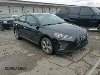 2019 Hyundai Ioniq Limited z VIN KMHC75LDXKU161905, wystawiony jako Copart lot #51807525 z przebiegiem 128 524 mil mil oraz Szkoda całkowita • Salvage title. Historia ofert i sprzedaży dostępna na DreamBid. Obrazek 11.