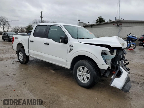 2021 Ford F-150 XL with VIN 1FTFW1E52MKD60853, listed as a Copart auction lot 43049145 with Not Provided miles and Salvage Title. Bid and sale history available at carsss.com. Image 4.