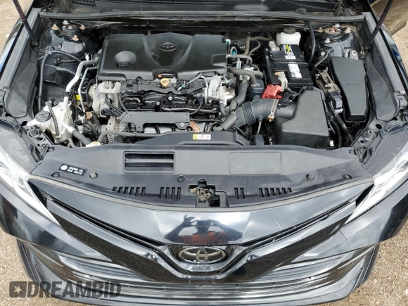2019 Toyota Camry LE with VIN 4T1B11HK2KU171616, listed as a Copart auction lot 54007115 with 123,285 mi miles and Clean Title. Bid and sale history available at carsss.com. Image 11.