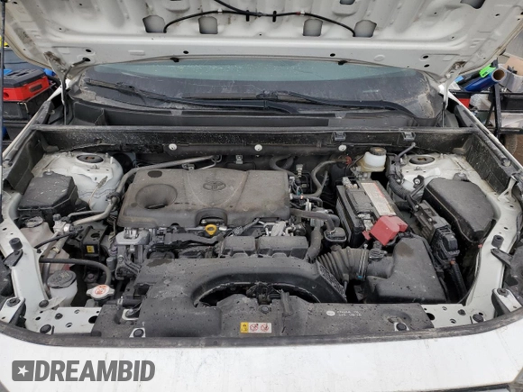 2019 Toyota RAV4 LE with VIN JTMH1RFV6KJ007894, listed as a Copart auction lot 49707505 with 112,627 mi miles and Salvage Title. Bid and sale history available at carsss.com. Image 12.