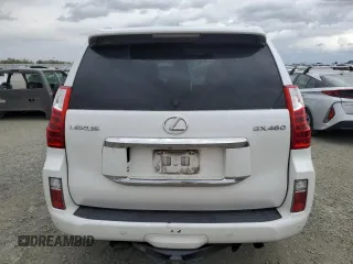 2010 Lexus GX 460 Premium with VIN JTJJM7FX4A5017066, listed as a Copart auction lot 49045265 with 247,536 mi miles and Clean title. Bid and sale history available at DreamBid. Image 6.