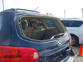 2007 Hyundai Santa Fe SE z VIN 5NMSH73EX7H002012, wystawiony jako IAAI lot #42256659 z przebiegiem 236 562 mil mil oraz . Historia ofert i sprzedaży dostępna na DreamBid. Obrazek 6.