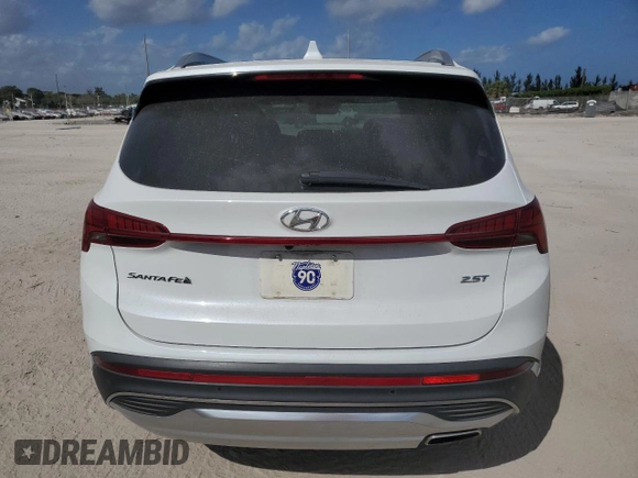 2022 Hyundai Santa Fe Limited with VIN 5NMS44AL2NH455808, listed as a Copart auction lot 45237285 with 51,255 mi miles and Salvage Title. Bid and sale history available at carsss.com. Image 6.