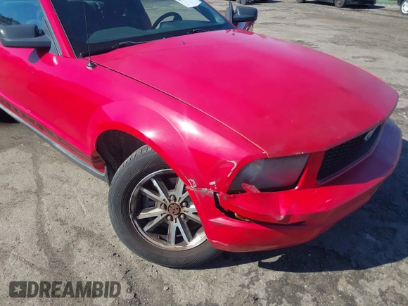 2005 Ford Mustang Deluxe with VIN 1ZVFT80N255128730, listed as a IAAI auction lot 41821271 with 324,513 mi miles. Bid and sale history available at carsss.com. Image 6.