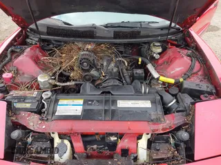 1995 Pontiac Firebird Firebird z VIN 2G2FS22K8S2253829, wystawiony jako IAAI lot #42471573 z przebiegiem 193 095 mil mil oraz . Historia ofert i sprzedaży dostępna na DreamBid. Obrazek 10.