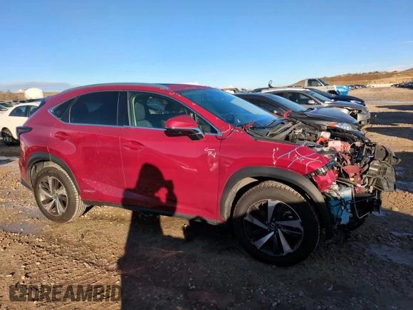 2020 Lexus NX with VIN JTJGJRDZ0L2143996, listed as a Copart auction lot 87661585 with 47,307 mi miles and Salvage Title. Bid and sale history available at carsss.com. Image 14.