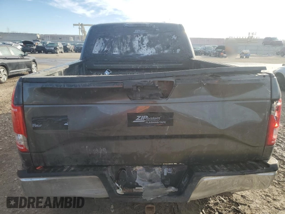2017 Ford F-150 XL with VIN 1FTEX1CP3HFA43031, listed as a Copart auction lot 89388605 with 176,948 mi miles and Salvage Title. Bid and sale history available at carsss.com. Image 6.