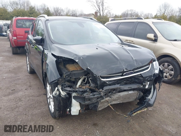 2016 Ford Escape Titanium with VIN 1FMCU0J91GUC69895, listed as a IAAI auction lot 41488171 with 162,232 mi miles. Bid and sale history available at carsss.com. Image 6.