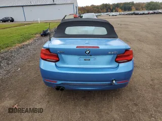 2018 BMW 2 Series 230i xDrive with VIN WBA2K1C59JVD41336, listed as a Copart auction lot 77820634 with 58,570 mi miles and Salvage Title. Bid and sale history available at carsss.com. Image 6.