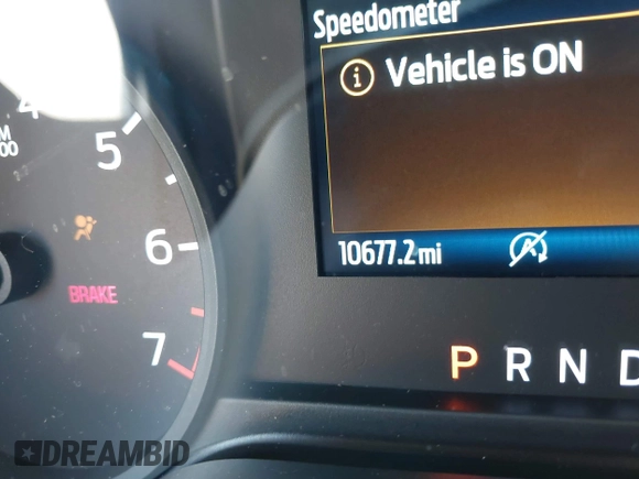 2023 Ford F-150 XL with VIN 1FTEW1CP0PKG14886, listed as a IAAI auction lot 42444367 with 10,677 mi miles and . Bid and sale history available at DreamBid. Image 15.