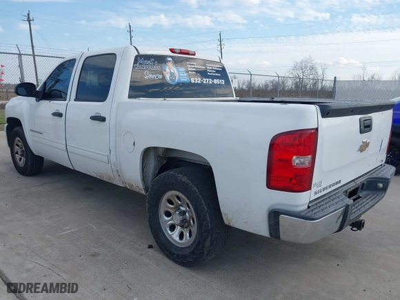 2009 Chevrolet Silverado 1500 LS with VIN 3GCEC13CX9G196238, listed as a IAAI auction lot 41690264 with 258,392 mi miles. Bid and sale history available at carsss.com. Image 3.