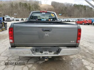 2005 Dodge 1500 SLT with VIN 1D7HA16N85J519734, listed as a Copart auction lot 46169615 with Not Provided miles and Salvage Title. Bid and sale history available at carsss.com. Image 6.