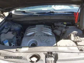 2007 Hyundai Veracruz GLS with VIN KM8NU73C67U012189, listed as a IAAI auction lot 41855531 with 182,341 mi miles and . Bid and sale history available at DreamBid. Image 10.