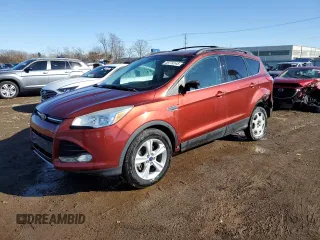 2014 Ford Escape SE with VIN 1FMCU0GXXEUD49389, listed as a Copart auction lot 48774145 with 104,066 mi miles and Salvage Title. Bid and sale history available at carsss.com. Image 1.