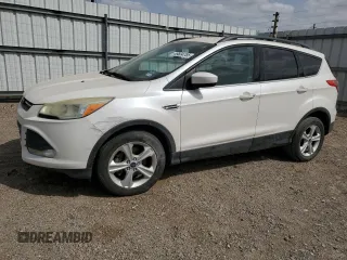 2014 Ford Escape SE with VIN 1FMCU0GX3EUB84639, listed as a Copart auction lot 49834785 with 159,595 mi miles and Salvage Title. Bid and sale history available at DreamBid. Image 1.