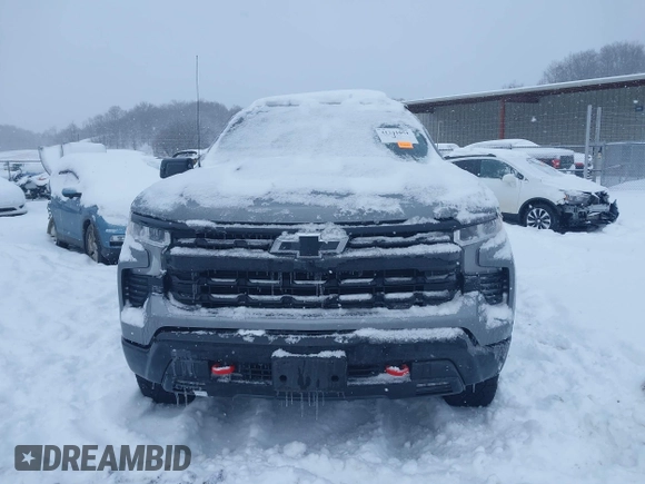 2023 Chevrolet Silverado 1500 LT Trail Boss with VIN 3GCUDFED4PG302112, listed as a IAAI auction lot 41241051 with 30,908 mi miles and . Bid and sale history available at DreamBid. Image 12.