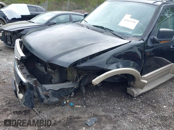 2005 Ford Expedition Eddie Bauer with VIN 1FMPU17555LA61159, listed as a IAAI auction lot 41843799 with 280,153 mi miles and . Bid and sale history available at DreamBid. Image 6.