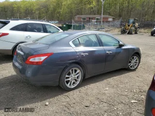 2010 Nissan Maxima 3.5 SV w/Sport Pkg with VIN 1N4AA5APXAC817024, listed as a Copart auction lot 53623465 with 0 mi miles and Salvage Title. Bid and sale history available at carsss.com. Image 3.