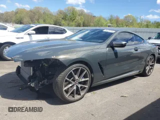 2019 BMW 8 Series M850i xDrive with VIN WBABC4C58KBU96829, listed as a Copart auction lot 54229794 with 20,285 mi miles and Salvage Title. Bid and sale history available at carsss.com. Image 1.