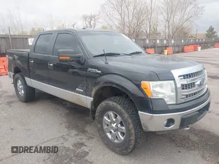 2014 Ford F-150 XL z VIN 1FTFW1ET5EFC27691, wystawiony jako IAAI lot #41964611 z przebiegiem 155 816 mil mil oraz . Historia ofert i sprzedaży dostępna na DreamBid. Obrazek 1.