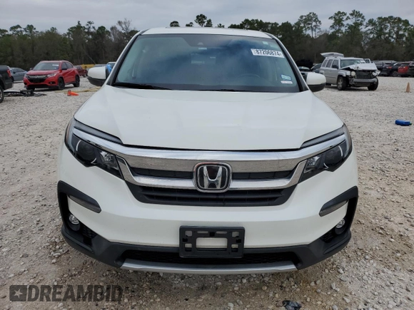 2019 Honda Pilot EX-L with VIN 5FNYF5H58KB005465, listed as a Copart auction lot 87206874 with 31,272 mi miles and Clean title. Bid and sale history available at DreamBid. Image 5.