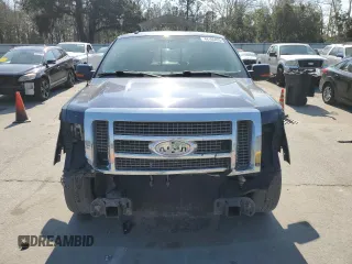 2009 Ford F-150 XL with VIN 1FTPW12VX9FA74998, listed as a Copart auction lot 44105425 with 160,244 mi miles and Salvage Title. Bid and sale history available at carsss.com. Image 5.