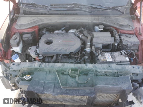 2019 Hyundai Santa Fe Ultimate with VIN 5NMS5CAA8KH063336, listed as a Copart auction lot 46734315 with 106,484 mi miles and Salvage Title. Bid and sale history available at DreamBid. Image 12.