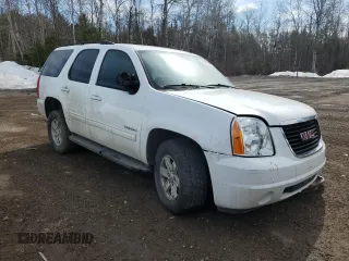 2014 GMC Yukon SLE with VIN 1GKS2AE02ER121038, listed as a Copart auction lot 49241315 with 225,424 mi miles and Clean Title. Bid and sale history available at carsss.com. Image 4.
